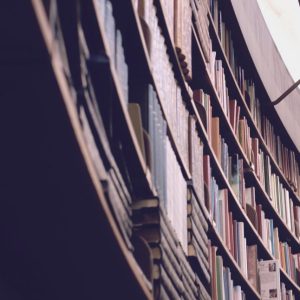 Meet the CAPAL Student Committee