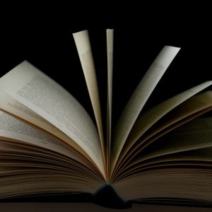Rethinking the Canon: A Contemporary Response to the Indian in the Cupboard
